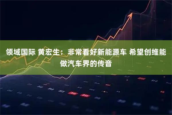 领域国际 黄宏生：非常看好新能源车 希望创维能做汽车界的传音