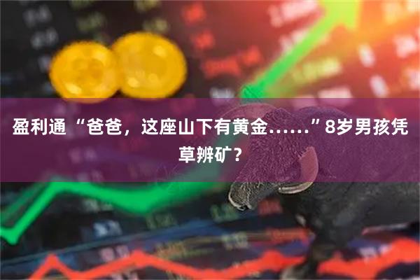 盈利通 “爸爸，这座山下有黄金……”8岁男孩凭草辨矿？