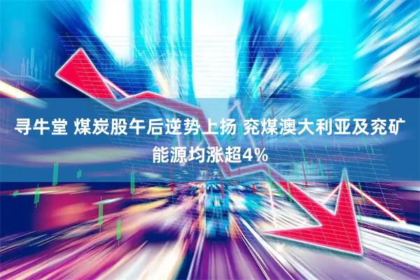 寻牛堂 煤炭股午后逆势上扬 兖煤澳大利亚及兖矿能源均涨超4%