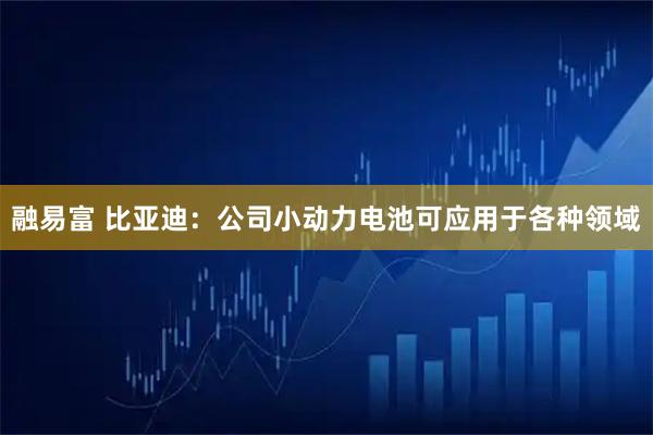 融易富 比亚迪：公司小动力电池可应用于各种领域